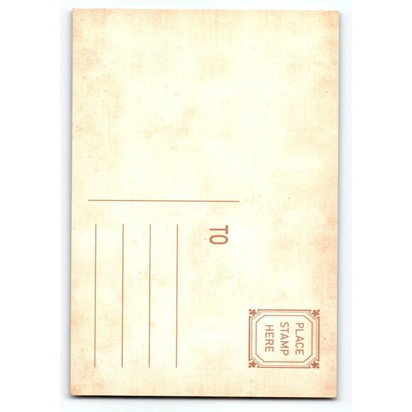 Vintage Halloween Black Cat Forest Scene Photochrome Postcard 5.5x4" - Picture 2 of 2